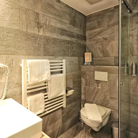 Otel Alps 3*